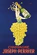 Champagne - Perrier - 24x36 Poster