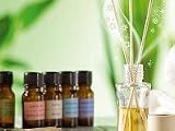 infactory Raumparfüm Starter-Set mit 8 Düften & 48 Rattan-Duftstäbchen