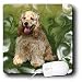 cocker_spaniel12cocker spaniel - Dogs Cocker Spaniel cocker Spaniel Mouse Pads