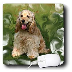 image link -  - B002I899QI