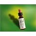 Bach Essence Beech 20mL