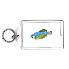 Schl�sselhalter mit der Grafik: Tier, Fisch, solfjadersfisk, Aquarium