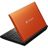 TOSHIBA dynabook dynabook N300/02DD ネットブックPC Windows 7 Starter 32 ビット搭載 10.1型 ワイド Clear SuperView LED液晶 PN30002DNVD