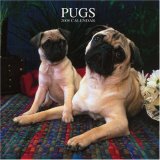 Pugs 2008 Square Wall