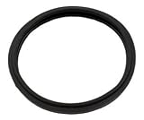 Pentair American Products AmerLite / AmerQuartz Pool Light Lens O-Ring 79101600