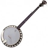 Deering 5-Boston 5-String Banjo