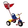 Radio Flyer Ultimate Canopy Steer & Stroll Trike
