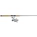Penn Silverado Spinning Saltwater Rod and Reel Combo - 8'