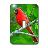 Birds - Red Cardinal - Light Switch Covers - single toggle switch