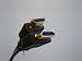 HDMI Cable for HDTV 6 ft (HDMI Cable Certified) JoWow