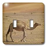 Kike Calvo Desert - The wind molds the sand into beautiful dunes, offering a unique natural paradise - Light Switch Covers - double toggle switch