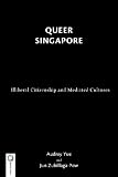 Queer Singapore : illiberal citizenship and mediated cultures