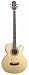 31%2BI6LcDVrL. SL75  Jasmine ES50C Cutaway Acoustic Electric Bass Guitar