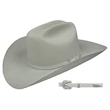 Stetson® 4X Silver Belly Skyline by Stetson