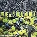 Belloluna, Livid &amp; Loving It, 発売中