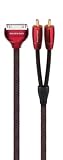 Audioquest Golden Gate 1m (3'4