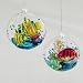 OBLATE W/FISHY SHELL ORNAMENT SET OF 2 - 4