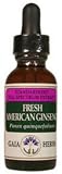 American Ginseng SFSE 1 oz.