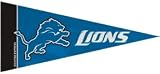 Detroit Lions NFL Mini Pennants - 8 Piece Set