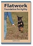 Flatwork Foundation for Agility