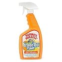 Nature's Miracle Just for Cats Orange Oxy Power Stain & Odor Remover