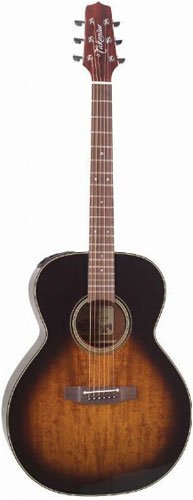 Childrens Toyshop  Musical Instruments : Takamine EF444TBS NEX Acoustic-Electric Guitar