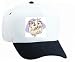 White Cap with cat, white, persian, pet, feline