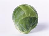 A Single Brussels Sprout Photographic Poster Print by Cyndy Black, 24x18