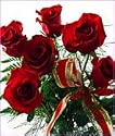 6 Long Stemmed Red Roses