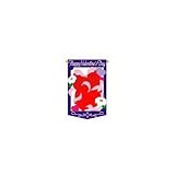Valentine Hearts Decorative Banner