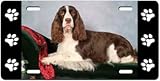English Springer Spaniel License Plate