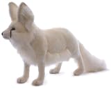 Arctic Fox 16
