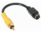 StarTech.com SVID2COMPFM S-Video to Composite Video Adapter Cable - 6 Inch