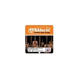DAddario EJ15 Phosphor Bronze Extra Light Acoustic Strings, Single