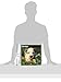 Dalmatian Puppies Calendar - Breed Specific Dalmatian Puppies Calendar - 2016 Wall calendars - Dog Calendars - Monthly Wall Calendar by Avonside