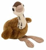 Ostrich Baby Bird Chick 5