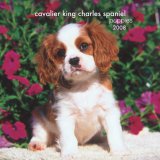 Cavalier King Charles Spaniel Puppies 2008 Mini Wall