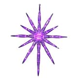 Starburst with 35 LED Lights - 17 Inch