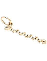 Rembrandt Charms Baton Charm