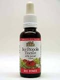 Natural Factors - Bee Propolis Tincture 65% Extract 1 oz