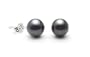 AugustinaJewelry AAA Quality Round 6-6.5mm Akoya SaltWater cultured Black Pearl Earrings with 18K White Gold Mount