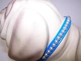  : Little Pearl Vinyl Dog Collar 8in Blue 33P