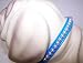 Kitchen & Housewares : Little Pearl Vinyl Dog Collar 8in Blue 33P