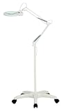 Daylight Bulb and Magnifying Lens Floor Lamp