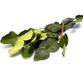 1 Oz. Thai Fresh Kaffir Lime Leaves-grown Organically, Natural with No Pesticides by Spicy Soups