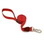 Aspen Pet Signature Series 1-Inch by 6-Foot Pet Leash, Autumn Red