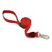 Aspen Pet Signature Series 1-Inch by 6-Foot Pet Leash, Autumn Red