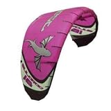 Best Kiteboarding