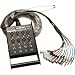 Hosa 8-Channel Sh Series Stage Box Snakes
