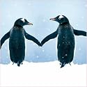 Help the Hospices Charity Penguin Christmas Cards - Winter Waddle (Pack of 8)
